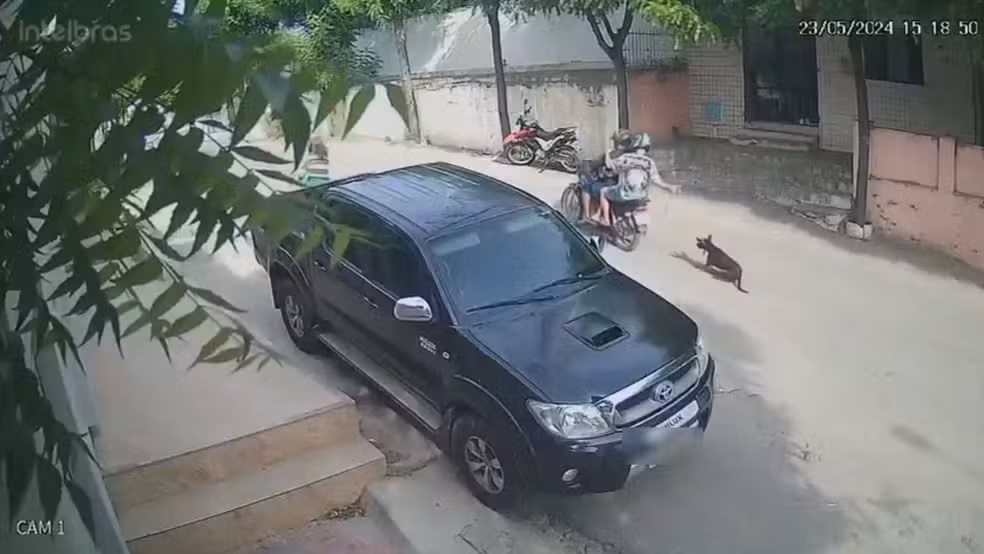 Homem é preso por arrastar cachorro a uma moto em Canindé