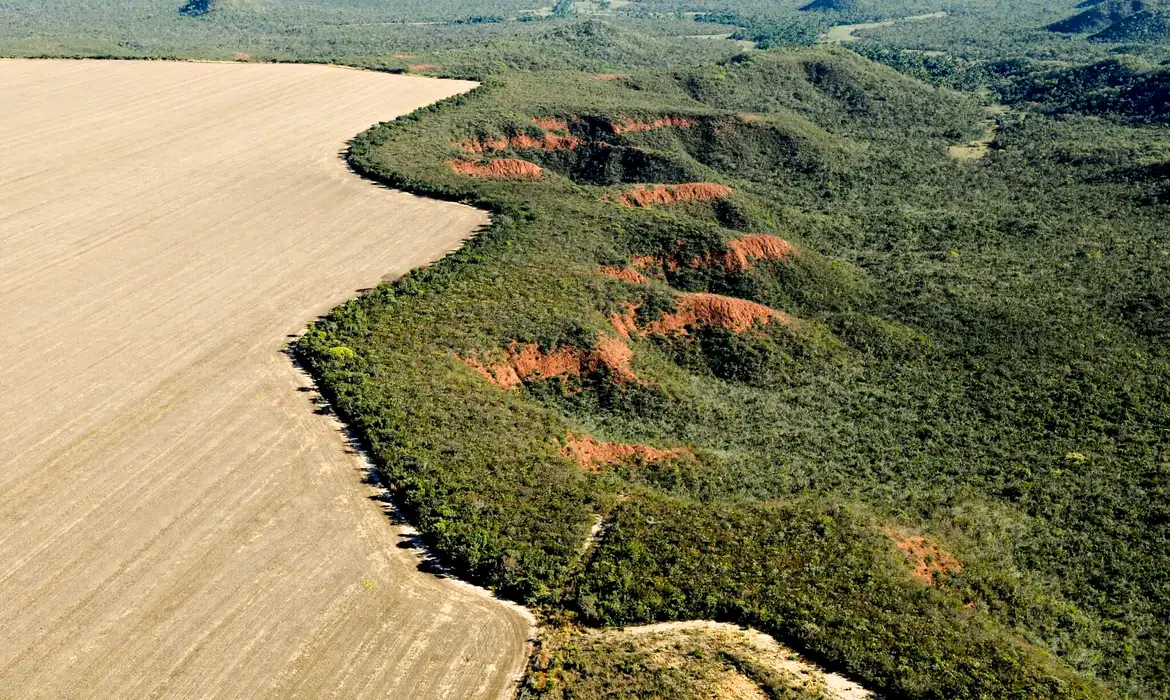 Desmatamento no Cerrado tem redução de 12,9% neste ano