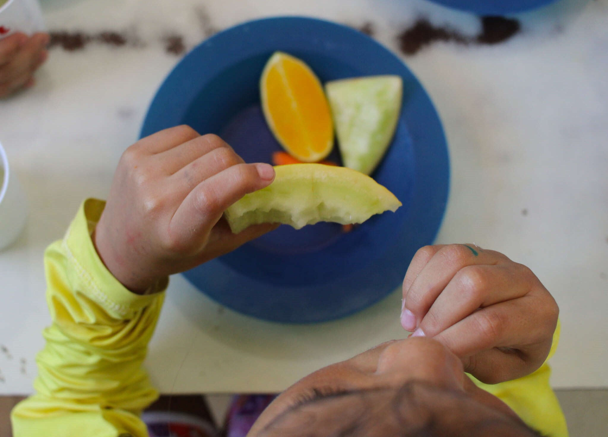 Seminário promove discussão sobre segurança alimentar com todos os municípios cearenses