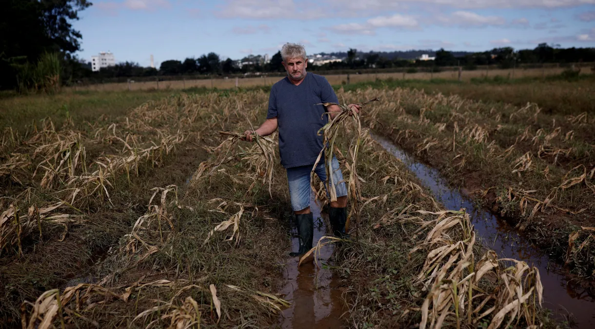 Agro do RS estima perdas de R$ 3 bi e uma década para recuperar produções inundadas