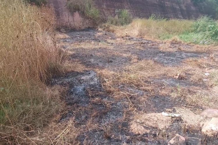 Ministério Público investiga desmatamentos no entorno de onde ocorre o Festival Expocrato