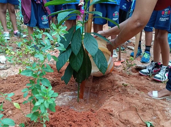 Juazeiro do Norte lança programação da campanha ‘Junho Ambiental 2024’