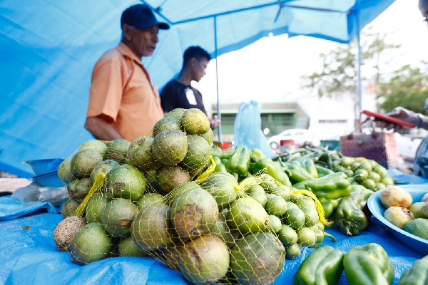 Feira da Agricultura Familiar de Juazeiro do Norte acontecerá nas Timbaúbas