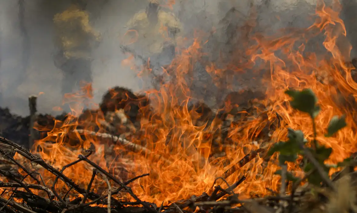 Governo destina R$ 137,6 milhões para combate a queimadas no Pantanal