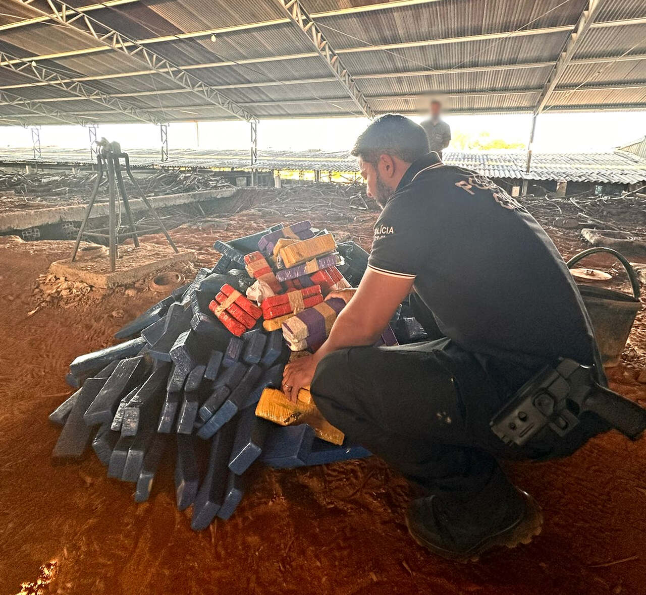 Polícia Civil incinera mais de 200 kg de entorpecentes em Milagres