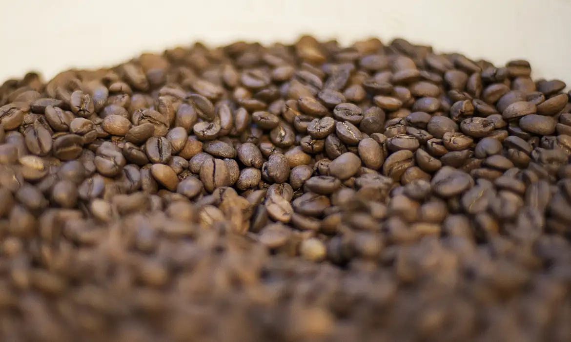 Clima e aumento do consumo devem manter preço do café em alta