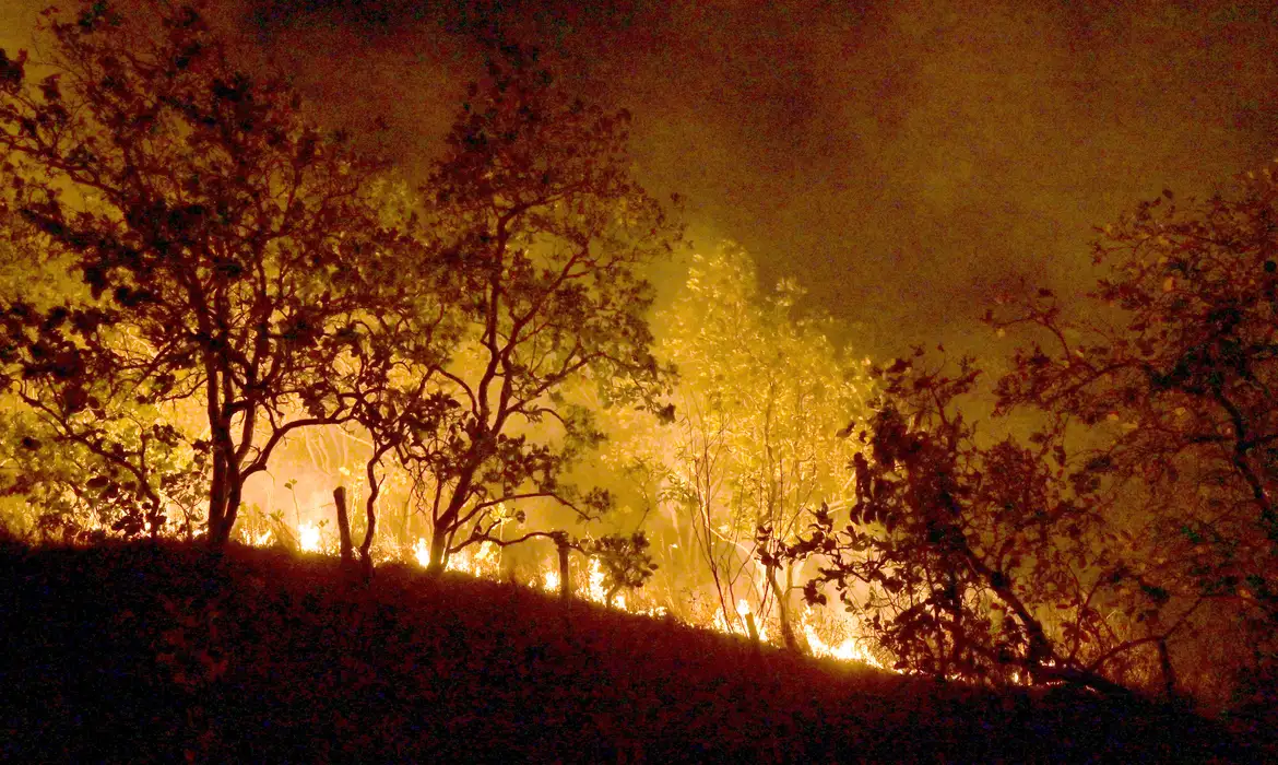 Incêndios: governo vai concentrar ações em 21 municípios da Amazônia