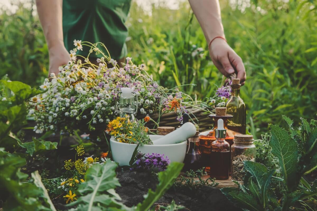 Workshop sobre plantas medicinais em doenças infecciosas reúne pesquisadores e práticos na Urca