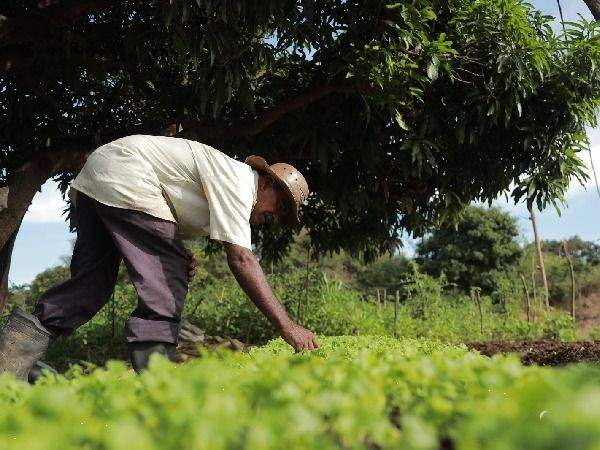 Fazenda Agroecológica em Juazeiro do Norte resgata preceitos do Padre Cícero e fortalece agricultura sustentável