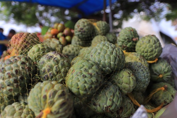 Frutas típicas são destaque em Feira da Agricultura Familiar de Juazeiro do Norte