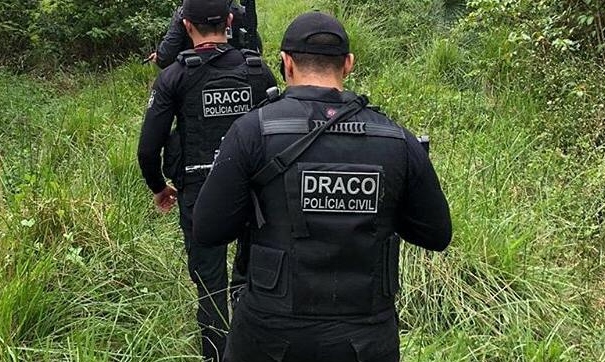 Draco capturou 337 integrantes de grupos criminosos em 2024