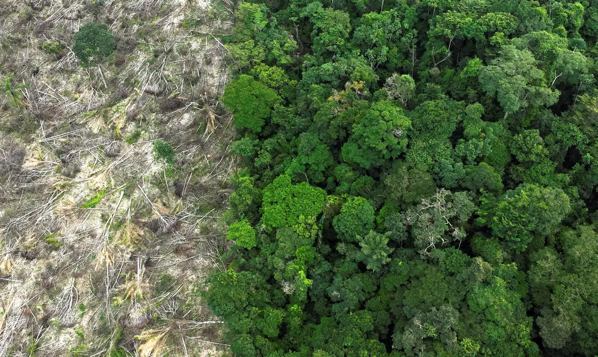 Amazônia: alerta de desmatamento cresce e mobiliza governo