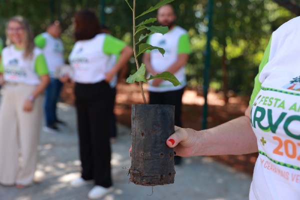 Festa Anual das Árvores tem início com blitz ambiental e distribuição de mudas em Juazeiro do Norte