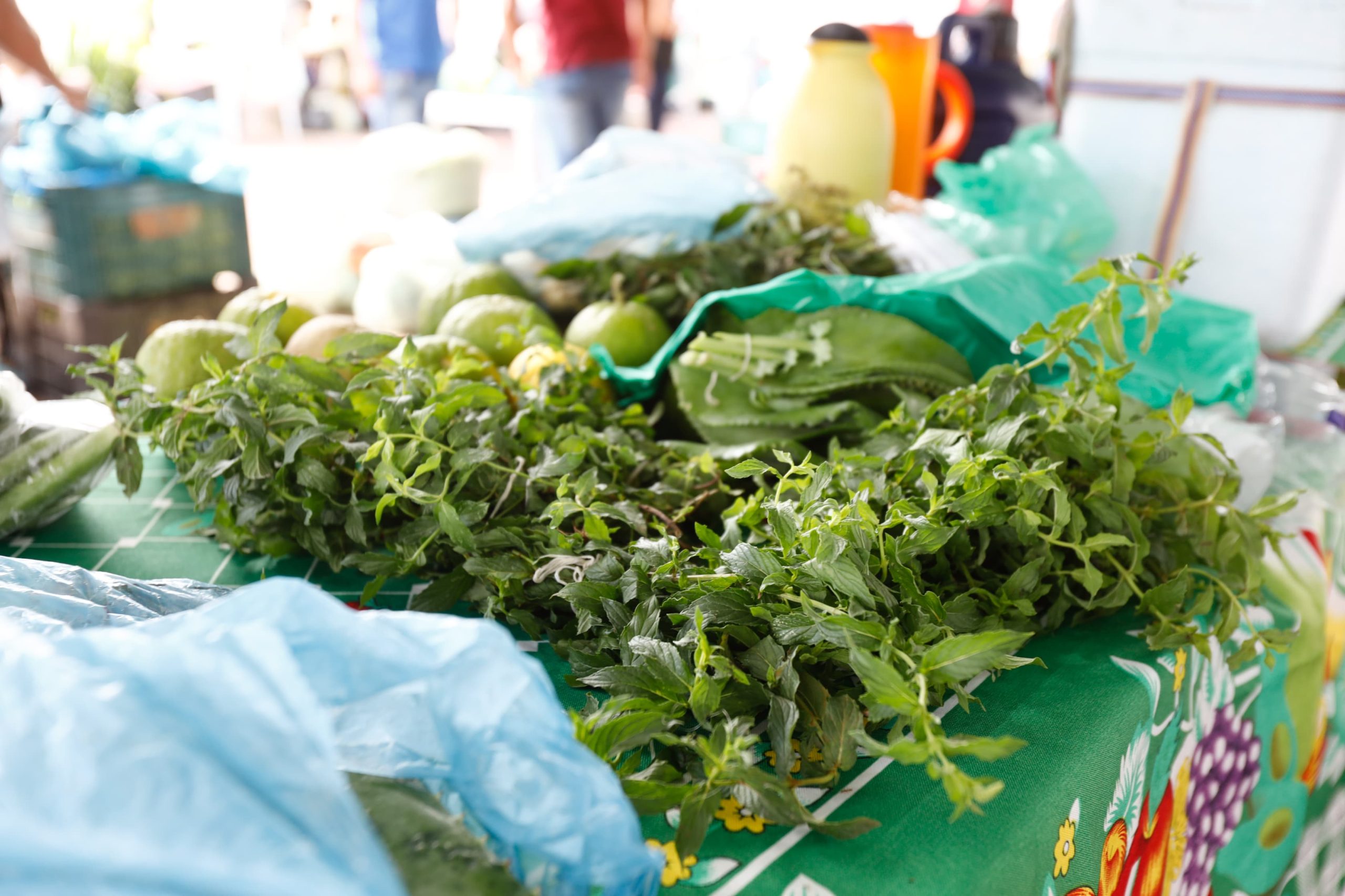 Feira da Agricultura Familiar de Juazeiro do Norte registra aumento na busca por alimentos saudáveis na Quaresma