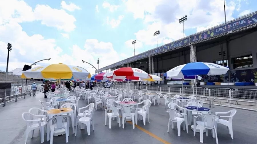Carnaval 2025: saiba como assistir à apuração do Grupo Especial de São Paulo