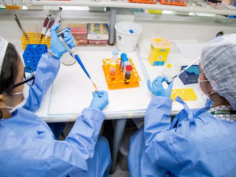 Casos de malária no Brasil caem 26% no primeiro trimestre de 2025