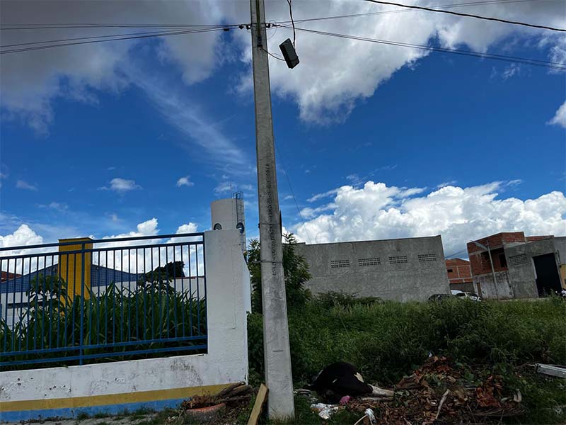 VÍDEO: Vaca morre eletrocutada e homem também leva choque num cabo de fibra óptica, em Juazeiro do Norte