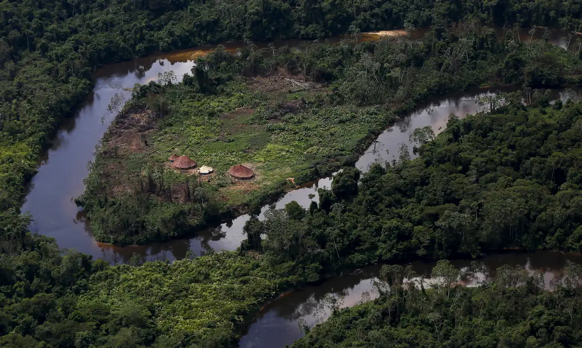 Número de óbitos no território Yanomami teve redução de 21% em 2024