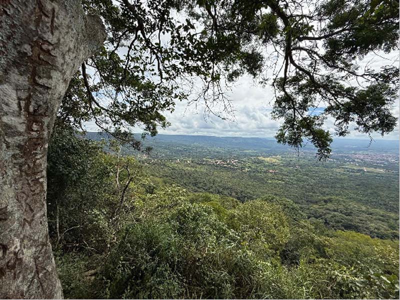 Crato realiza Semana de Meio Ambiente, de 1º a 7 de junho, com Campanha Junho Mais Verde