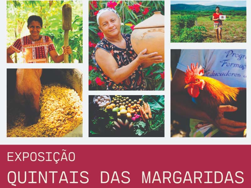 Territórios de afeto e luta: mulheres rurais ganham voz na exposição Quintais das Margaridas no Largo da RFFSA