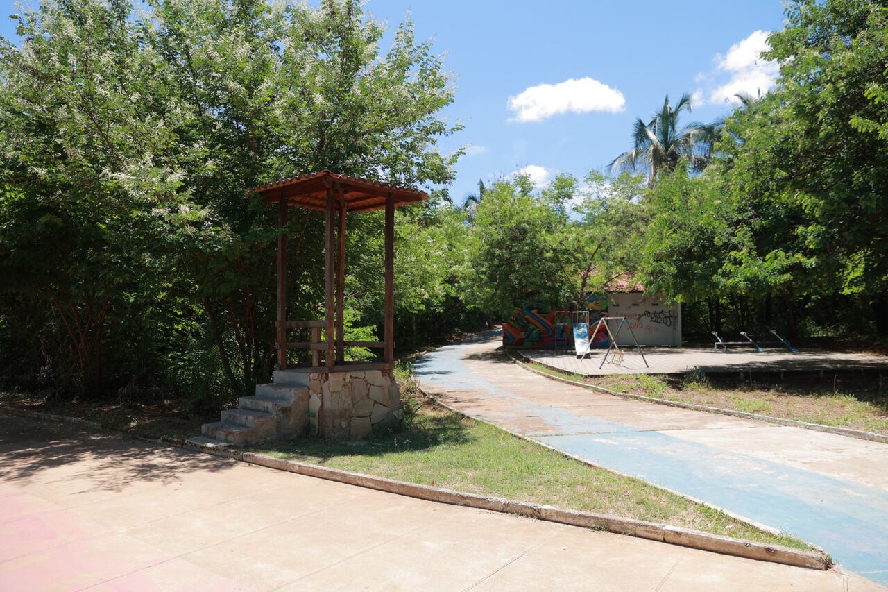 Juazeiro do Norte inicia discussões para projeto de jardinagem e paisagismo em praças e canteiros