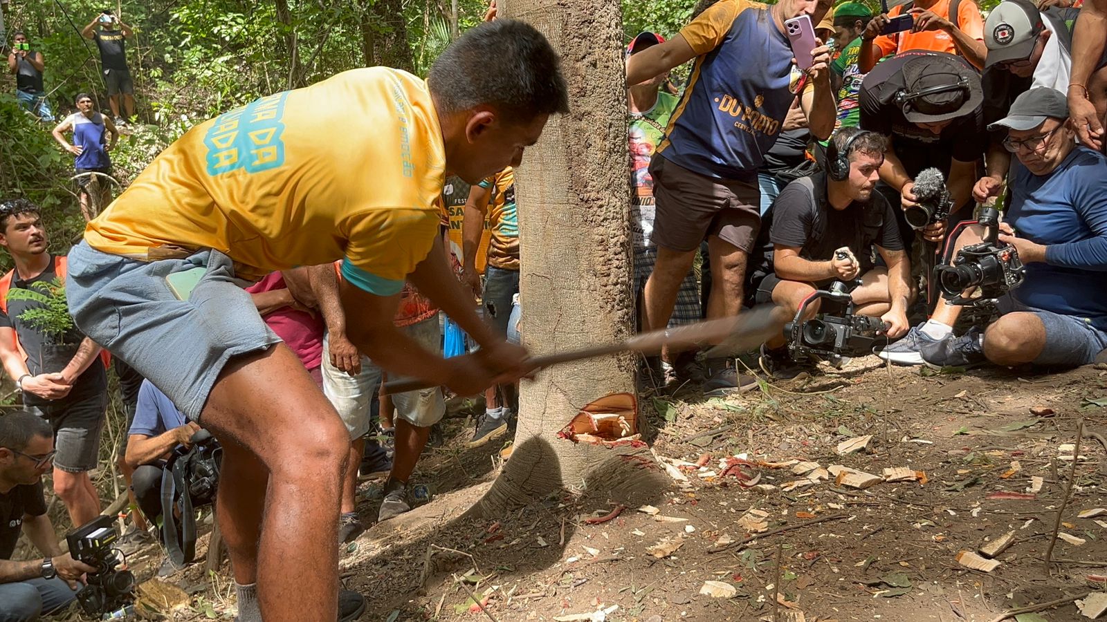 ESPECIAL FESTA DE SANTO ANTÔNIO: Nesta sexta-feira (16), aconteceu o corte de um pé de jatobá, que será o Pau da Bandeira da Festa de Santo Antônio, prevista para iniciar no próximo dia 1º de junho, em Barbalha.