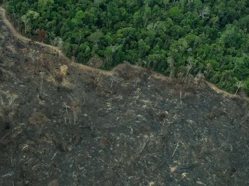 Projeto de licenciamento ambiental é grande retrocesso, diz ministério