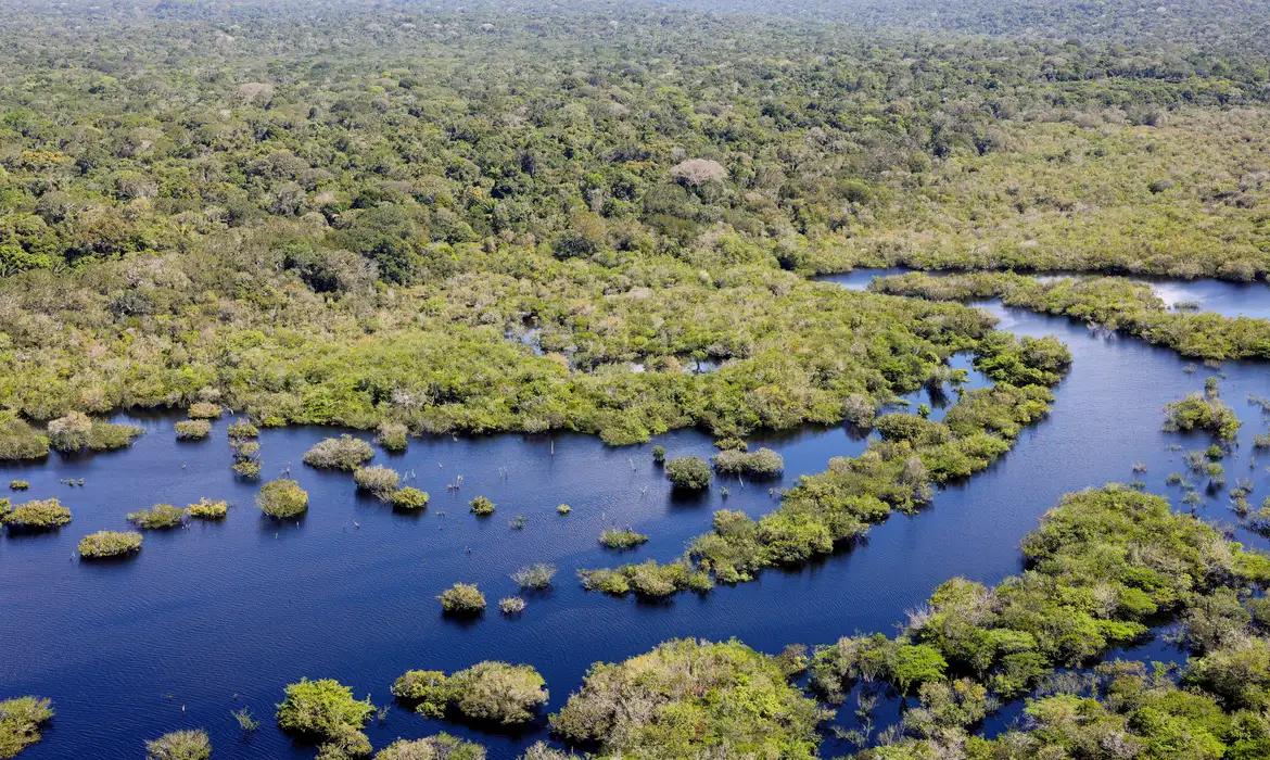 Quase todos os biomas registraram redução do desmatamento em 2024