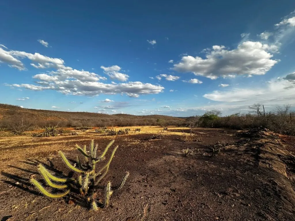 Ceará chega a cerca de 75% do território com seca relativa