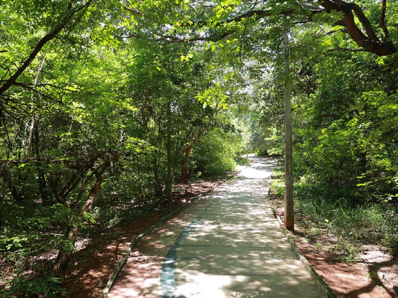 Secretaria de Esporte e Juventude promoverá Volta Ciclística no Parque Ecológico neste domingo, 15