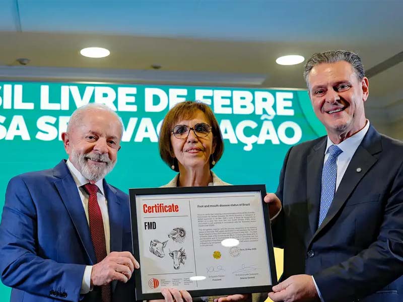 Brasil recebe certificado de país livre da febre aftosa