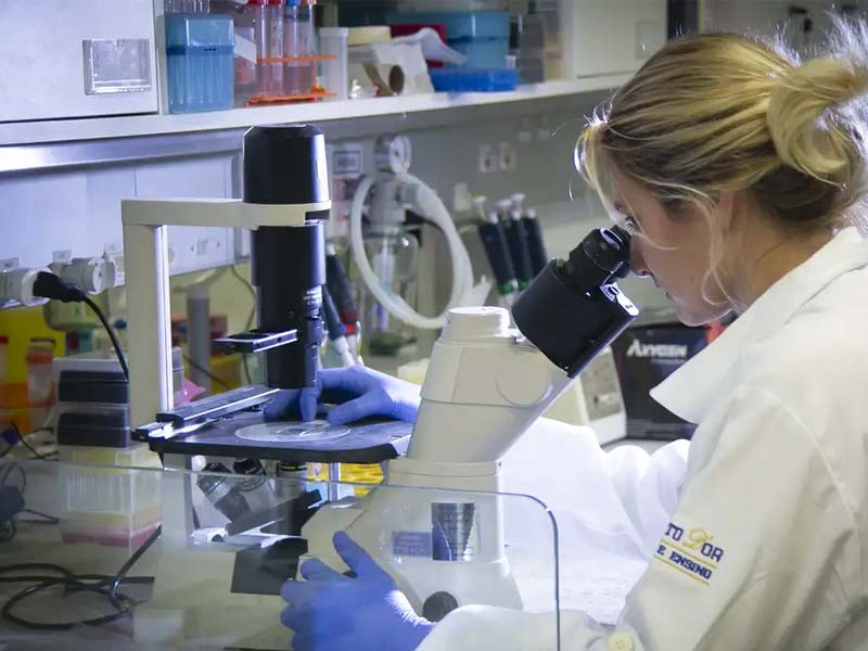 USP: pesquisa de vacina contra zika avança em testes com camundongos