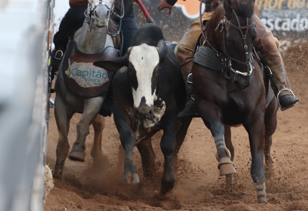 Vaquejada de Juazeiro do Norte começa nesta quarta-feira, 9 de julho