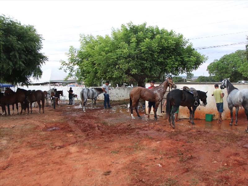 Juazeiro do Norte abre Consulta Pública para edital de seleção de uso das baias do Parque de Eventos Padre Cícero