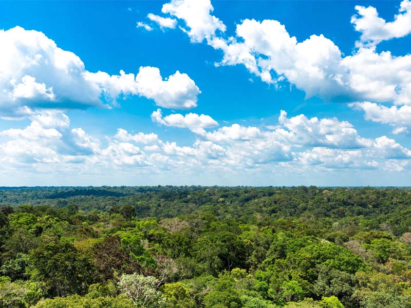 Lula sanciona lei do licenciamento ambiental com 63 vetos