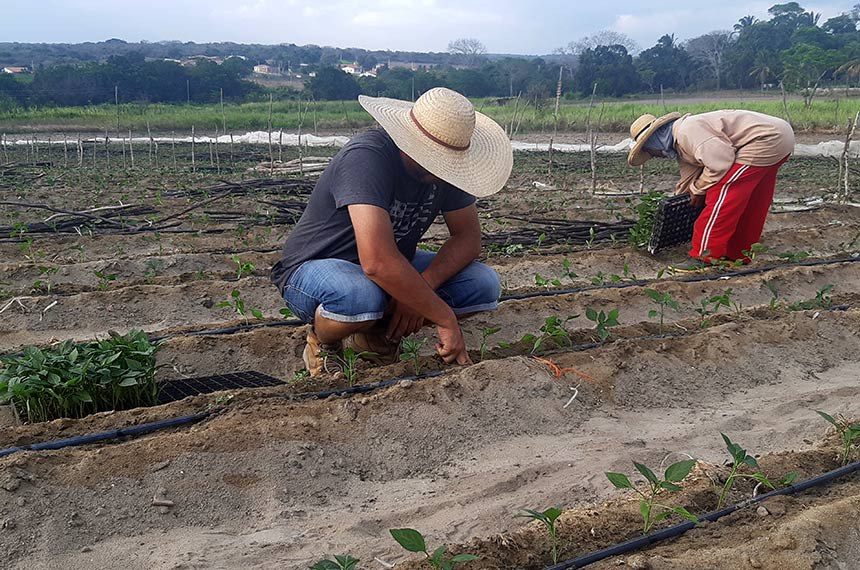Projeto em análise no Senado facilita acesso de agricultor familiar ao Benefício Garantia-Safra