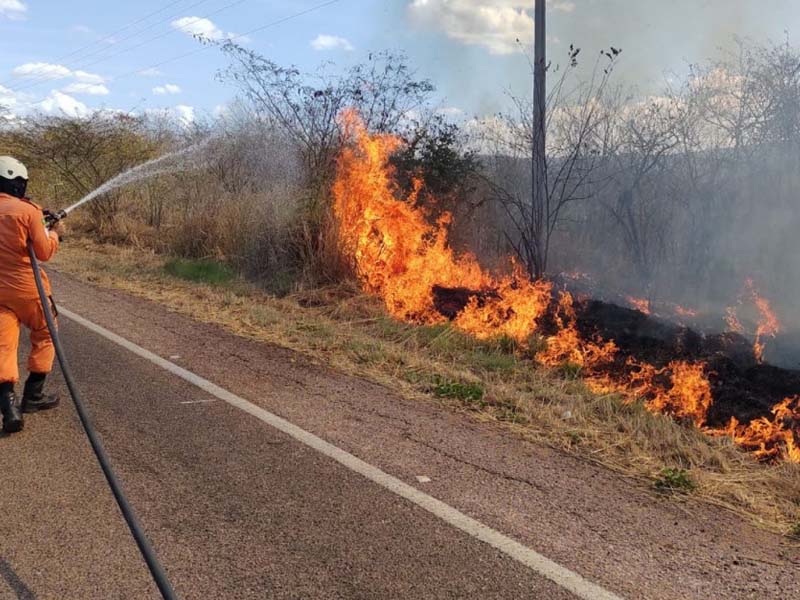 Incêndios em vegetação reduzem 39,7% no Ceará de janeiro a julho de 2025, aponta CBMCE