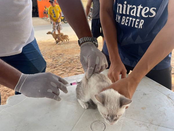 Mais de 6.700 animais foram vacinados contra a raiva, em campanha realizada no último sábado em Crato