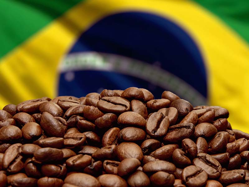 Preço do café nos EUA tem maior alta anual desde 1997 em meio a tarifaço