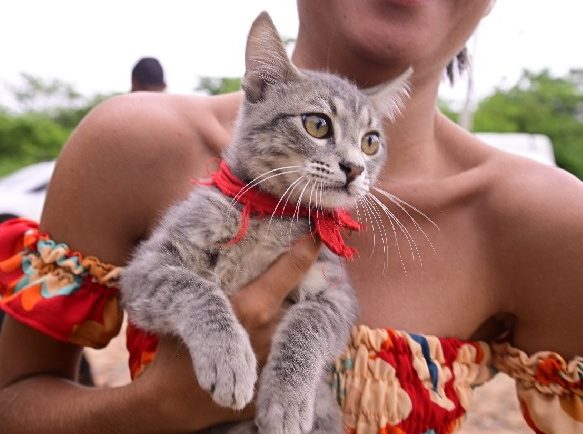 Juazeiro do Norte abre inscrições para o Conselho de Proteção Animal
