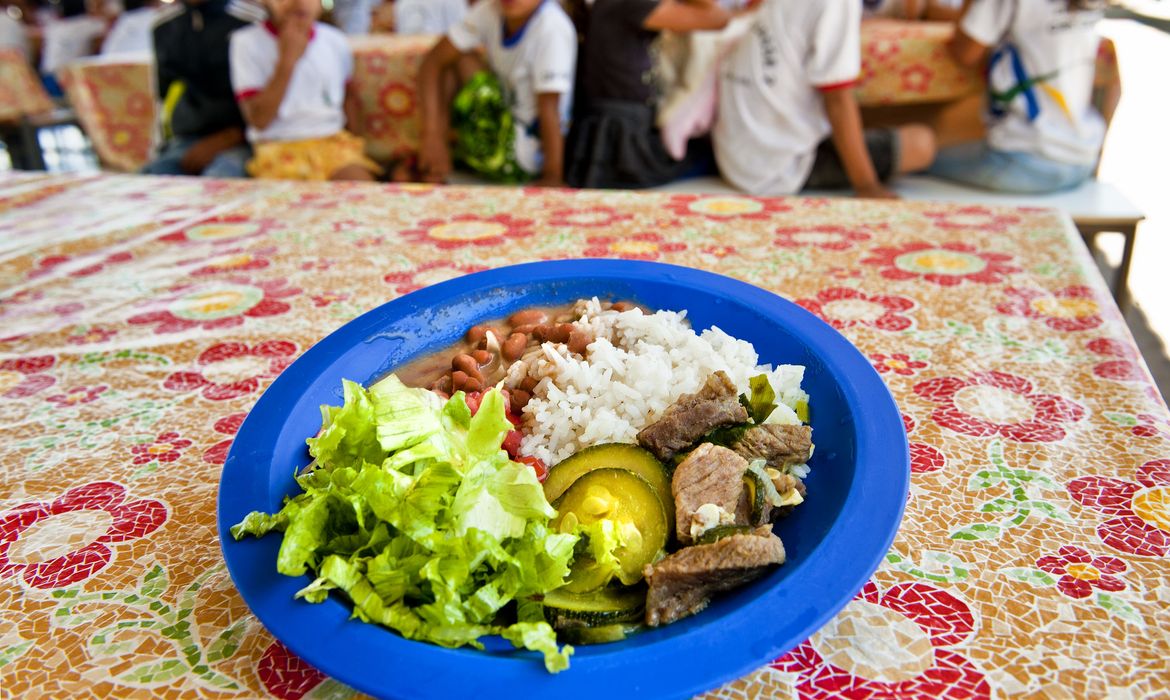 Câmara aprova projeto de compra de alimentos para merenda escolar