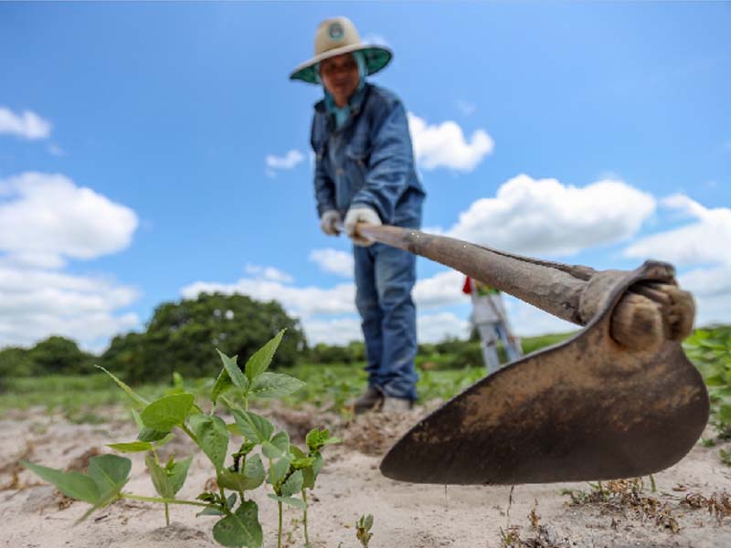 Juazeiro do Norte divulga programação para inscrições no Garantia-Safra
