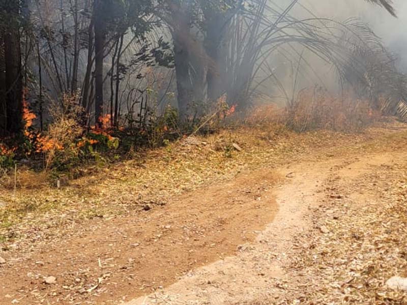 Ação da PMCE e do ICMBio resulta na prisão de homem suspeito de incêndio criminoso no entorno da Floresta Nacional do Araripe