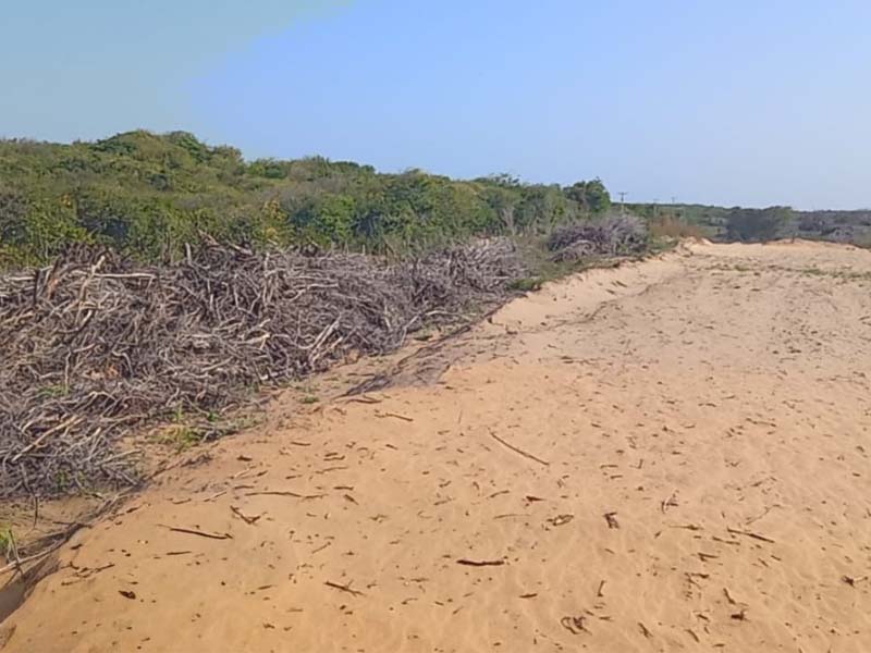 Operação Mata Atlântica em Pé 2025 aplica R$ 13 milhões em multas por desmatamento ilegal no Ceará