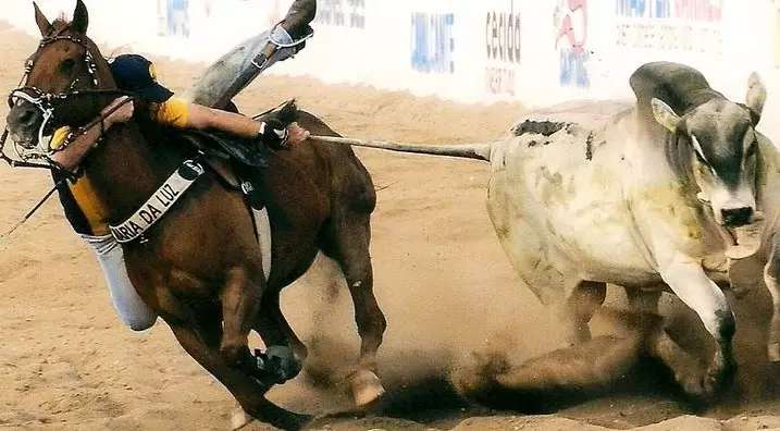 Vaquejada In Crato ocorre neste fim de semana com shows e entrada gratuita
