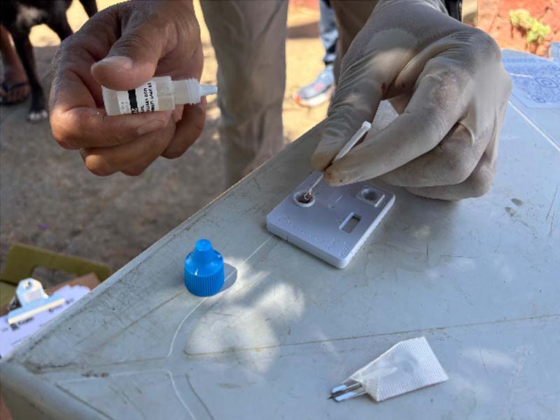 Mais de 5.300 animais receberam vacinação antirrábica, no Crato