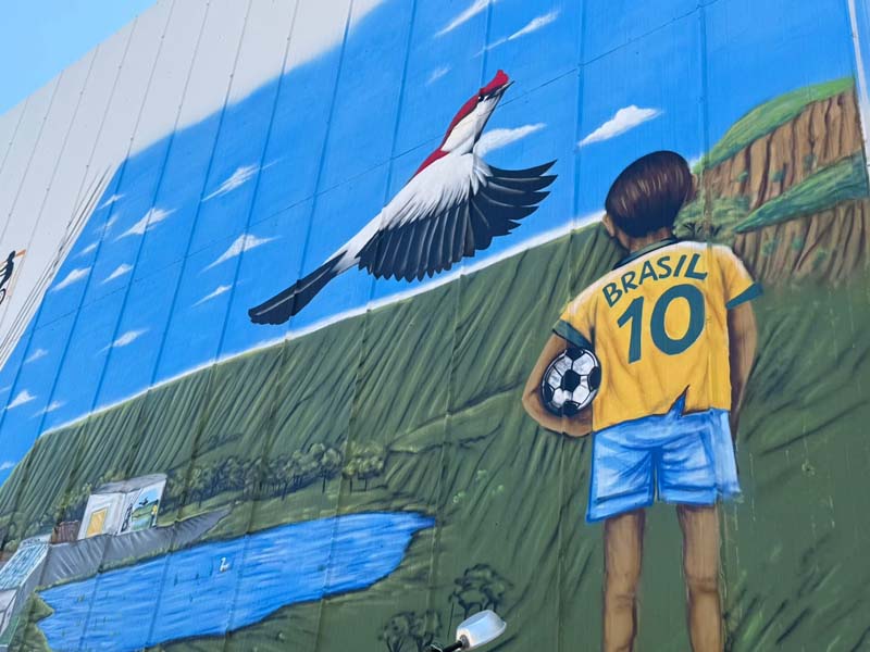 Câmara Municipal de Juazeiro do Norte realiza evento “Grafite pela Vida” em homenagem às mulheres que venceram o câncer