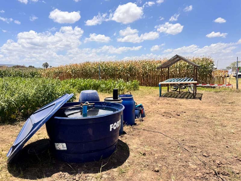 Com investimento de 1,7 milhão, Centec e UFCA iniciam projeto inovador de piscicultura e aquaponia