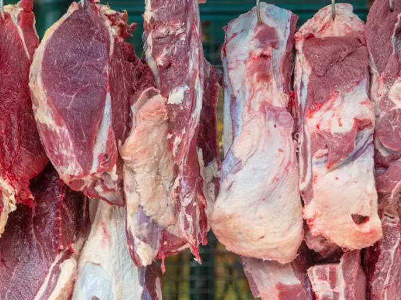 Mesmo com tarifaço, exportação de carne bovina do Brasil bate novo recorde em setembro