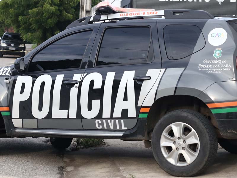 Polícia investiga maus-tratos contra cadela no Crato; animal sofreu cortes na cabeça e perfurações pelo corpo
